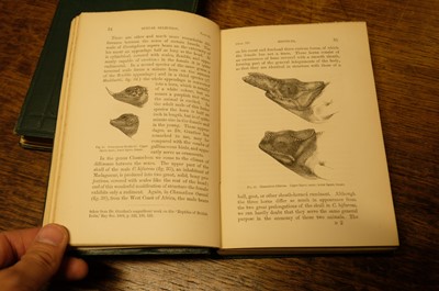 Lot 110 - Darwin (Charles). The Descent of Man, and selection in relation to sex, 2 vols., 1st ed., 1871