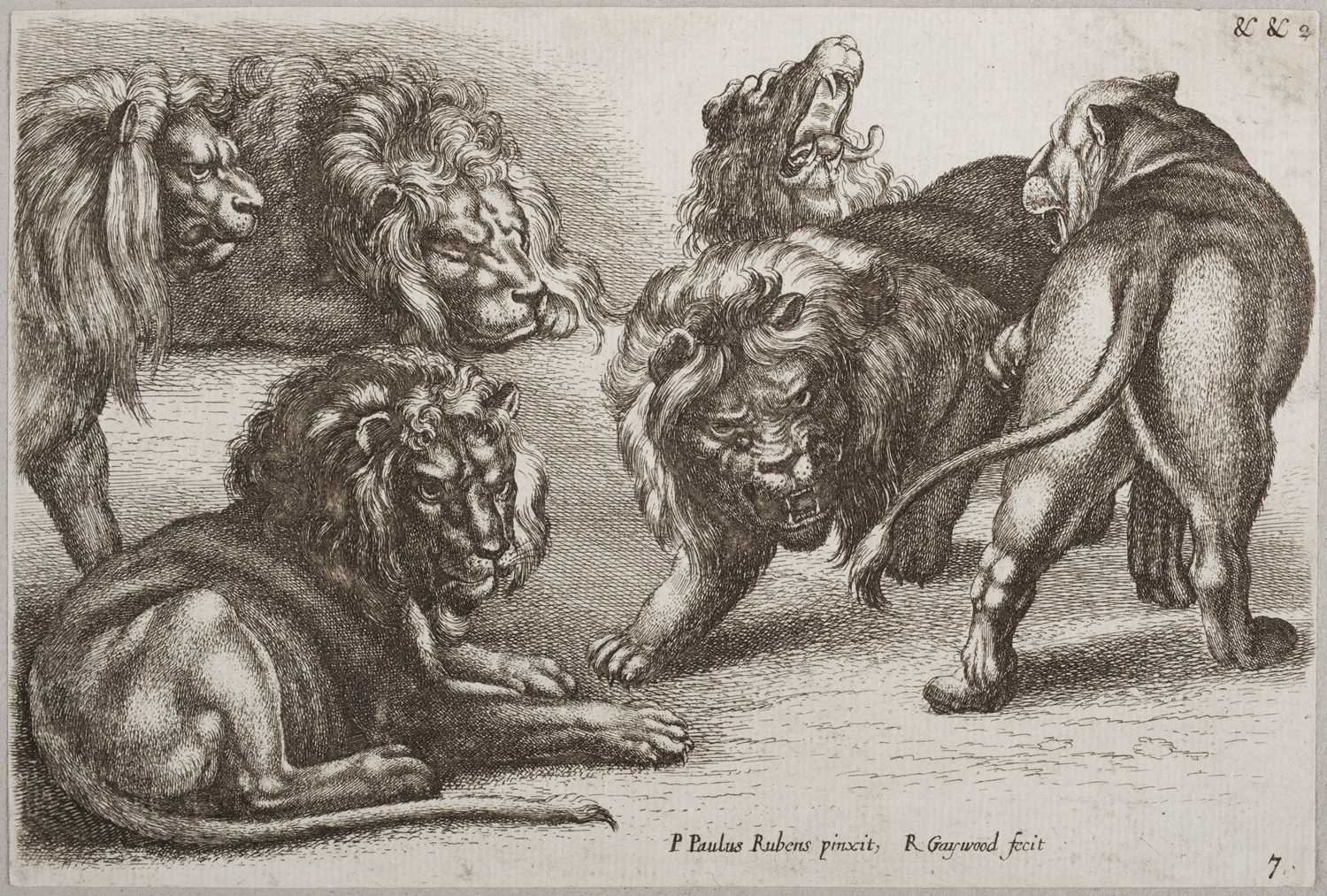 Lot 82 - Gaywood (Richard, circa 1630-1680). Six Lions, & Three Leopards..., circa 1654-70
