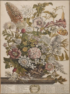 Lot 231 - Botany. Henry Fletcher (active 1710-1753). January, March, August, & November..., 1730