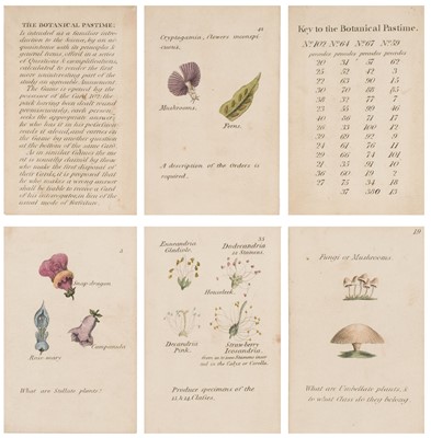Lot 556 - Botanical Card Game. The Botanical Pastime, circa 1800-1820, 65 engraved game cards