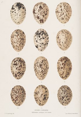 Lot 58 - Poynting (Frank). Eggs of British Birds, 1st edition, 1895-6