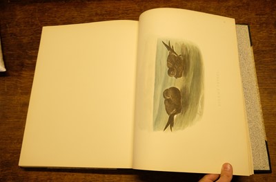 Lot 36 - Booth (Edward Thomas), Rough Notes on the Birds... 3 vols, 1881-87