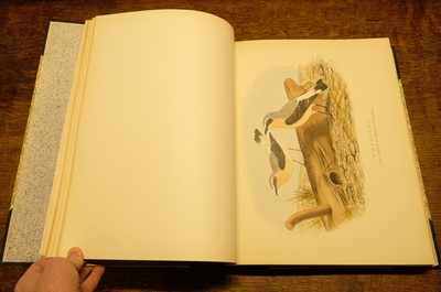 Lot 36 - Booth (Edward Thomas), Rough Notes on the Birds... 3 vols, 1881-87