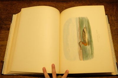 Lot 36 - Booth (Edward Thomas), Rough Notes on the Birds... 3 vols, 1881-87
