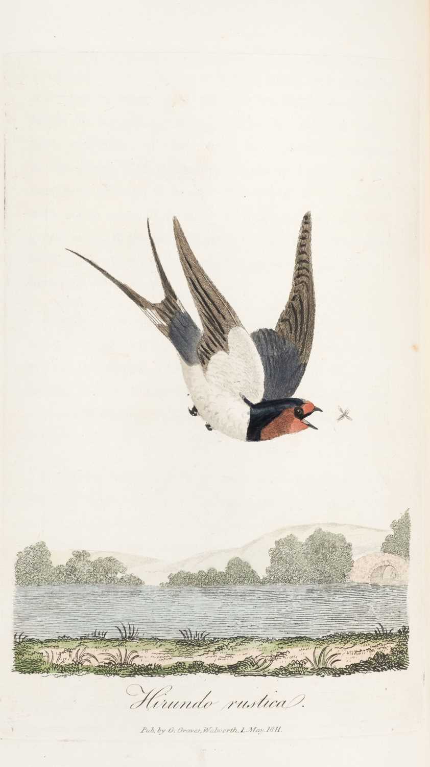 Lot 45 - Graves (George). British Ornithology, 3 vols in 1, 2nd edition, 1821