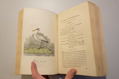 Lot 45 - Graves (George). British Ornithology, 3 vols in 1, 2nd edition, 1821