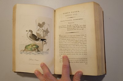 Lot 45 - Graves (George). British Ornithology, 3 vols in 1, 2nd edition, 1821