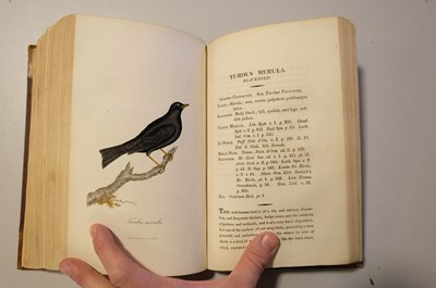 Lot 45 - Graves (George). British Ornithology, 3 vols in 1, 2nd edition, 1821