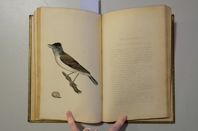 Lot 40 - Cotton (John). The Song Birds of Great Britain, 1st edition, 2nd issue, 1836