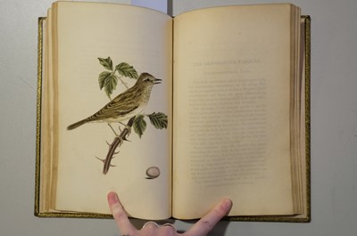 Lot 40 - Cotton (John). The Song Birds of Great Britain, 1st edition, 2nd issue, 1836