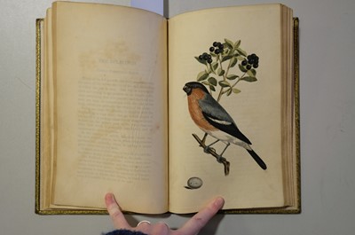 Lot 40 - Cotton (John). The Song Birds of Great Britain, 1st edition, 2nd issue, 1836