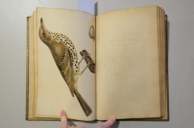Lot 40 - Cotton (John). The Song Birds of Great Britain, 1st edition, 2nd issue, 1836