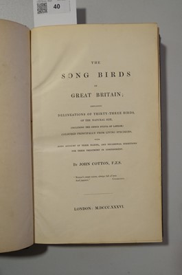 Lot 40 - Cotton (John). The Song Birds of Great Britain, 1st edition, 2nd issue, 1836