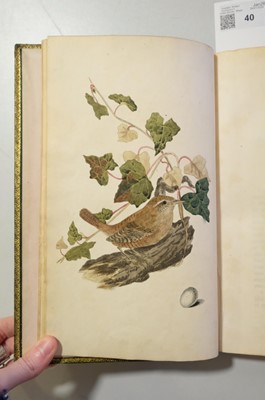 Lot 40 - Cotton (John). The Song Birds of Great Britain, 1st edition, 2nd issue, 1836