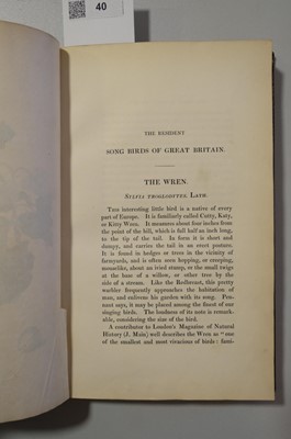 Lot 40 - Cotton (John). The Song Birds of Great Britain, 1st edition, 2nd issue, 1836