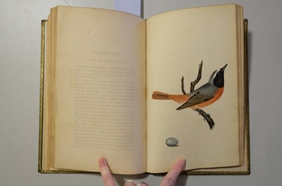 Lot 40 - Cotton (John). The Song Birds of Great Britain, 1st edition, 2nd issue, 1836