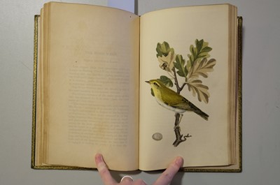 Lot 40 - Cotton (John). The Song Birds of Great Britain, 1st edition, 2nd issue, 1836