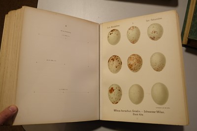 Lot 48 - Krause (Georg). Oologia Universalis Palaearctica, 3 volumes, 1906-13