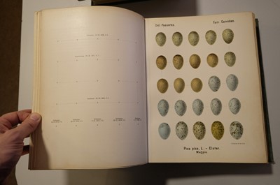 Lot 48 - Krause (Georg). Oologia Universalis Palaearctica, 3 volumes, 1906-13