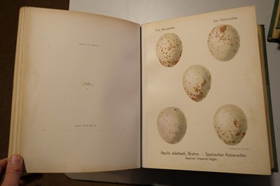 Lot 48 - Krause (Georg). Oologia Universalis Palaearctica, 3 volumes, 1906-13