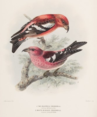 Lot 43 - Dresser (Henry E.). A History of the Birds of Europe, 11 vols., 1871-1910