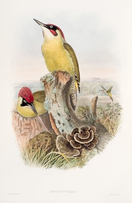 Lot 44 - Gould (John). The Birds of Great Britain, 5 volumes, 1st edition, 1862-73