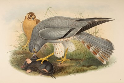 Lot 44 - Gould (John). The Birds of Great Britain, 5 volumes, 1st edition, 1862-73