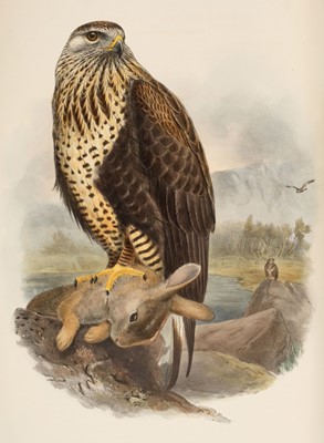 Lot 44 - Gould (John). The Birds of Great Britain, 5 volumes, 1st edition, 1862-73