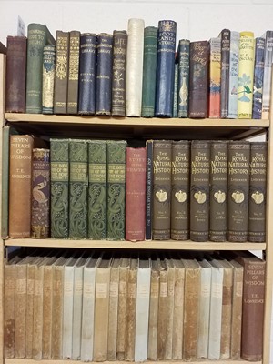 Lot 480 - Miscellaneous Literature. A large collection of 19th & 20th Century miscellaneous literature