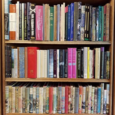 Lot 496 - Architecture. A large collection of mostly 20th century architecture reference and related.