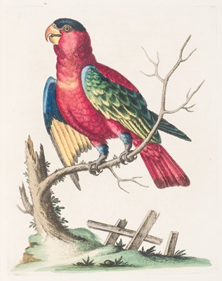 Lot 72 - Edwards (George). A Natural History of Uncommon Birds/Gleanings of Natural History, 7 vols, 1743-64