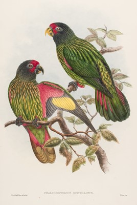 Lot 577 - Gould (John). Two Parakeets [1875 - 88]