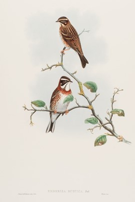 Lot 576 - Gould (John). Two lithographs of Buntings [1862 - 73]