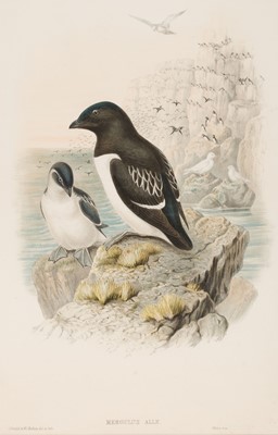 Lot 573 - Gould (John). Six lithographs of birds. [1832 - 73]