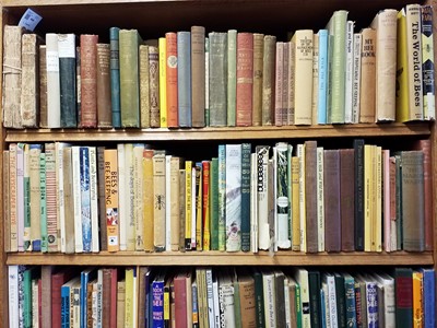 Lot 448 - Apiculture. A large collection of bee-keeping reference & related