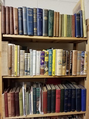 Lot 355 - Literature. A large collection of late 19th & early 20th Century literature & literary reference