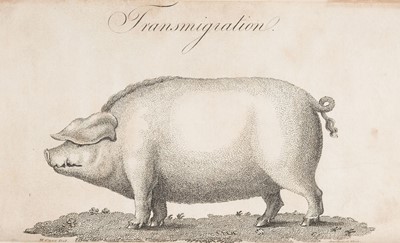 Lot 257 - Hunter (Alexander). Culina Famulatrix Medicinae, 1st edition, 1804