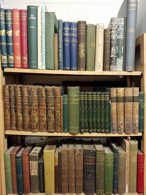 Lot 358 - Natural History. A large collection of natural history reference & related