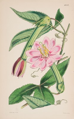 Lot 287 - Prints & Engravings. A collection of approximately 750 prints, mostly 19th & 20th century