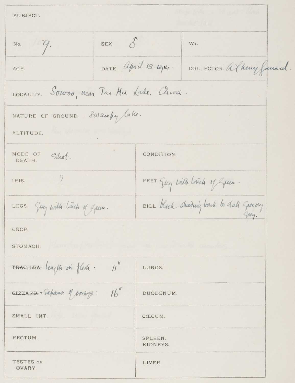 Lot 10 - Cherry-Garrard (Apsley). Ornithological Observations taken by explorer ..., 1914-1917