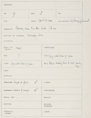 Lot 10 - Cherry-Garrard (Apsley). Ornithological Observations taken by explorer ..., 1914-1917