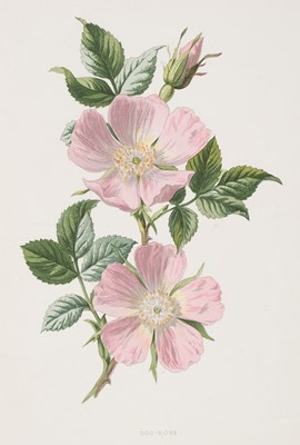Lot 236 - Prints & Engravings. A collection of approximately 150 prints, 19th & 20th century