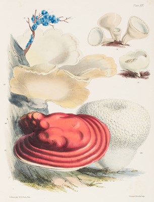 Lot 104 - Price (Sarah). Illustrations of the Fungi, 1864-65