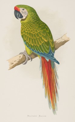 Lot 217 - Greene (W. T.). A collection of 41 colour plates from Parrots in Captivity [1884 - 87]
