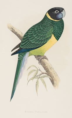 Lot 216 - Greene (W. T.). A collection of 26 colour plates from Parrots in Captivity [1884 - 87]