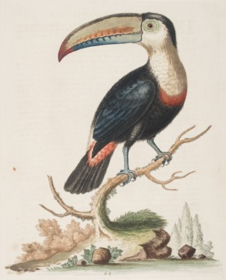 Lot 128 - Edwards (George). Natural History of Birds, volumes I & II, and Gleanings of Natural History, volume III, 1742-63