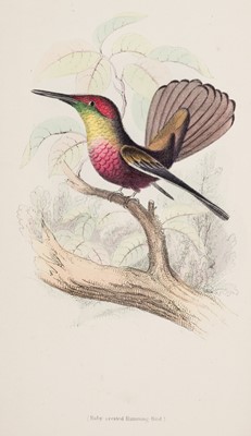 Lot 95 - Jardine (William). The Natural History of Humming Birds, 2 volumes, 1840