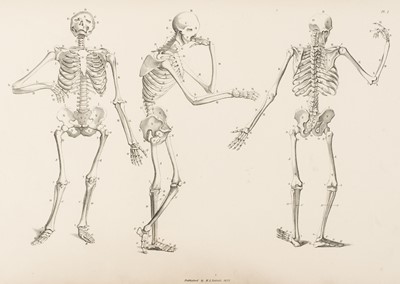 Lot 320 - Flaxman (John). Anatomical Studies of the Bones and Muscles…, 1st edition, 1833
