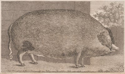 Lot 90 - Henderson (Robert). A Treatise on the Breeding of Swine, 1st edition, 1811