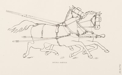 Lot 332 - Philipson (John and Nimshivich). Harness, 1882